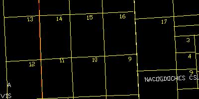 Texas Land Survey subdivisions layer example from a county map